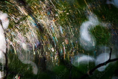 A large rainbow web on the branches of a tree, playing with many colors due to the refraction of light. Colorful forest abstract background © PhotoChur