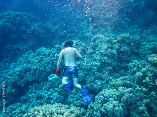 Snorkeling. A guy swims in the Red Sea with a mask and snorkel.