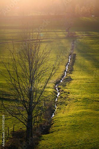 Baum, Wiese und ein Bachlauf. Bach in einem Feld. Gegenlicht die Sonne scheint ins Bild. Lange schatten, Luftaufnahme
