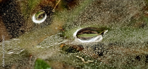 The morning dew returns to the cold weather and is very beautiful.