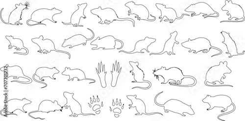 Vector art of rat sketches in various poses, perfect for pest control, animal behavior studies, and animation reference. Detailed line drawings of rats on a clean white background