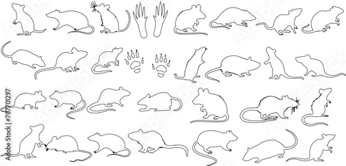 Rat sketches, line art, detailed illustrations in various poses. Showcasing movement, anatomy in black and white design. Ideal for graphic resource, motion study, creature concept, storyboard.