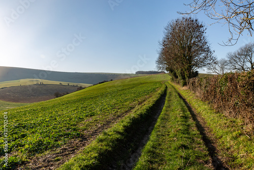 Looking along a footpath in the South Downs on a winter s day  with a blue sky overhead