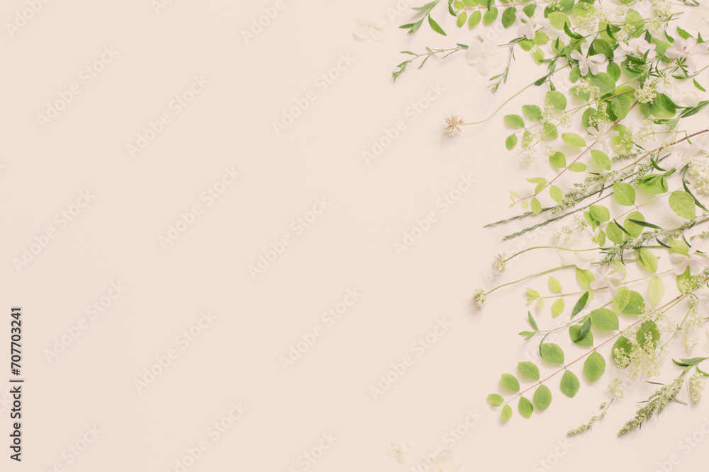 wildflowers and plants on white background wildflowers and plants on white background