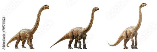 Collection of PNG. Brachiosaurus isolated on transparent background.