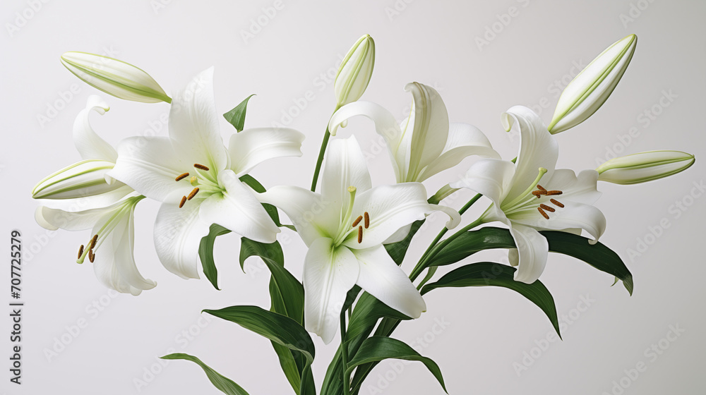 lily of the valley isolated on white