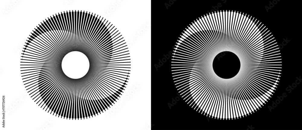 Lines in circle abstract background. Dynamic transition illusion. Black shape on a white background and the same white shape on the black side. - obrazy, fototapety, plakaty 