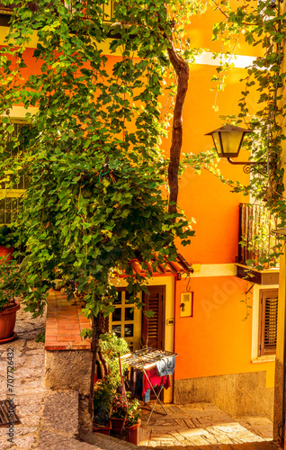 beautiful towh of Italy landscape with ladder with stairs down between nice balconies , walls with green plants and amazing attributes photo