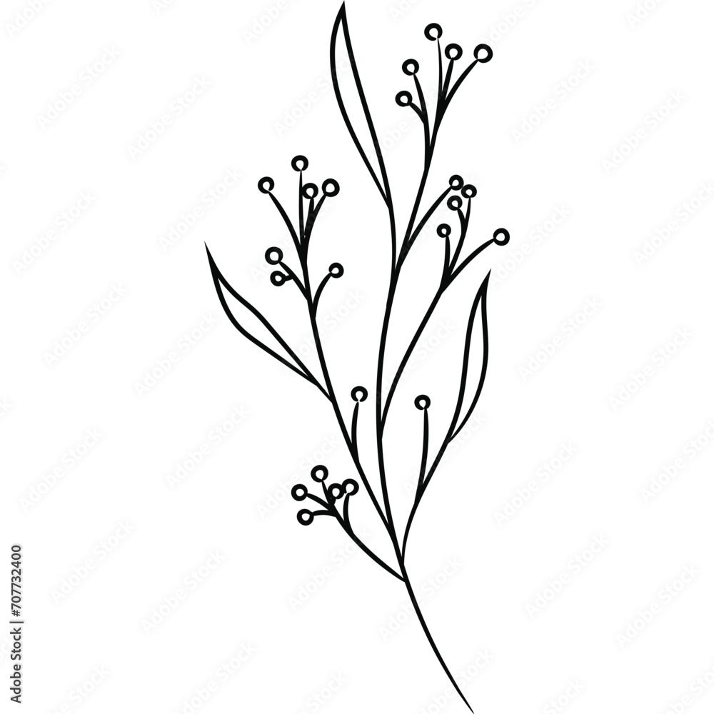 Wildflower Line Art Drawing