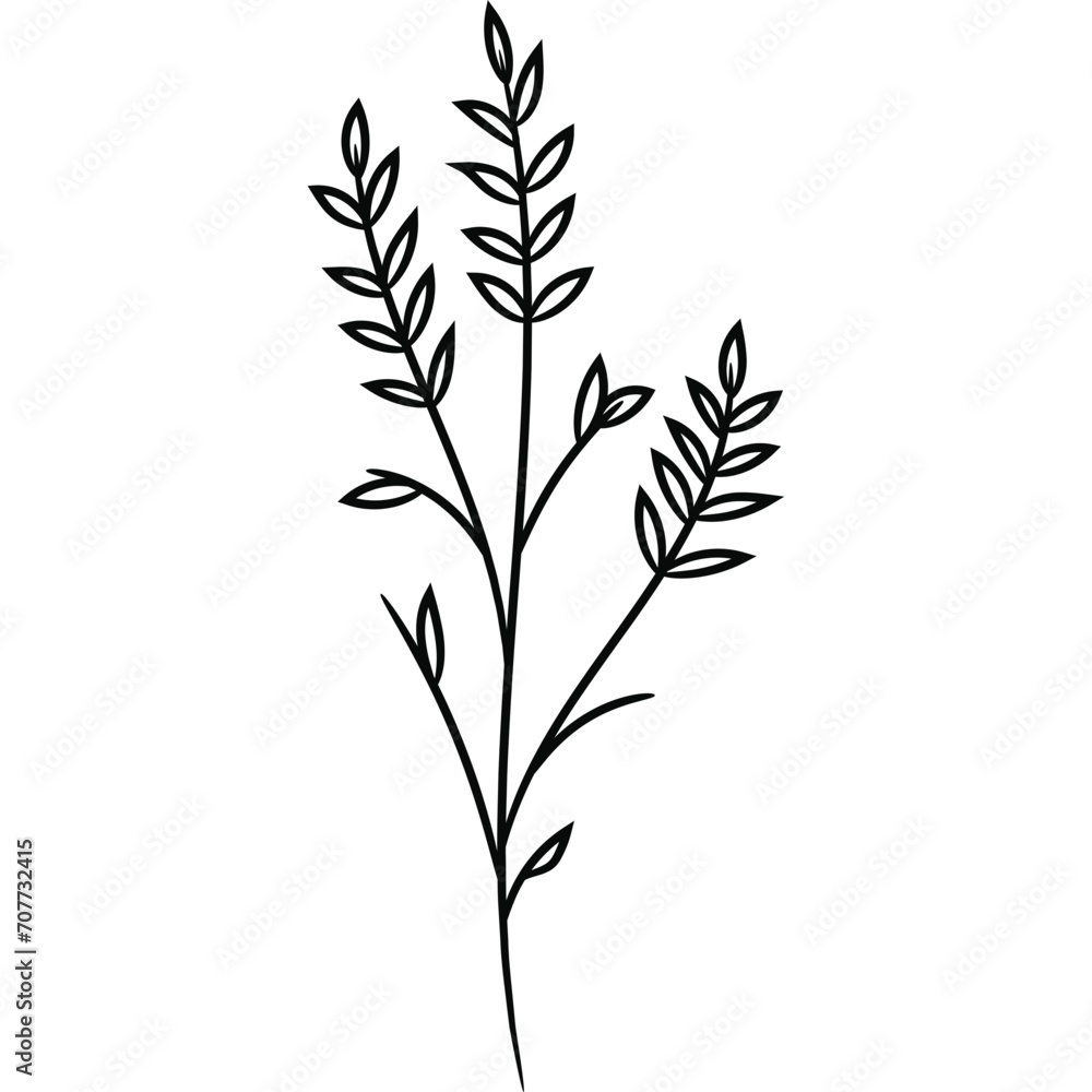 Wildflower Line Art Drawing Wildflower Line Art Drawing
