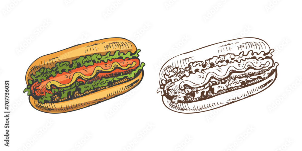 Hand-drawn colored and monochrome sketches of hot dogs isolated on white background. Fast food illustration. Vintage drawing. Great for menu, poster or restaurant background. Hand-drawn colored and monochrome sketches of hot dogs isolated on white background. Fast food illustration. Vintage drawing. Great for menu, poster or restaurant background.