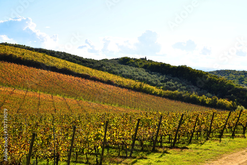 Vigne infinite, Toscana