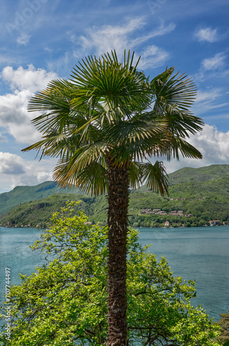 idyllic view in Village of Morcote at Lake Lugano close to Lugano,Ticino Canton,Switzerland