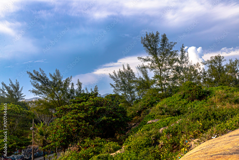 Obraz premium Rio de Janeiro em janeiro de 2024