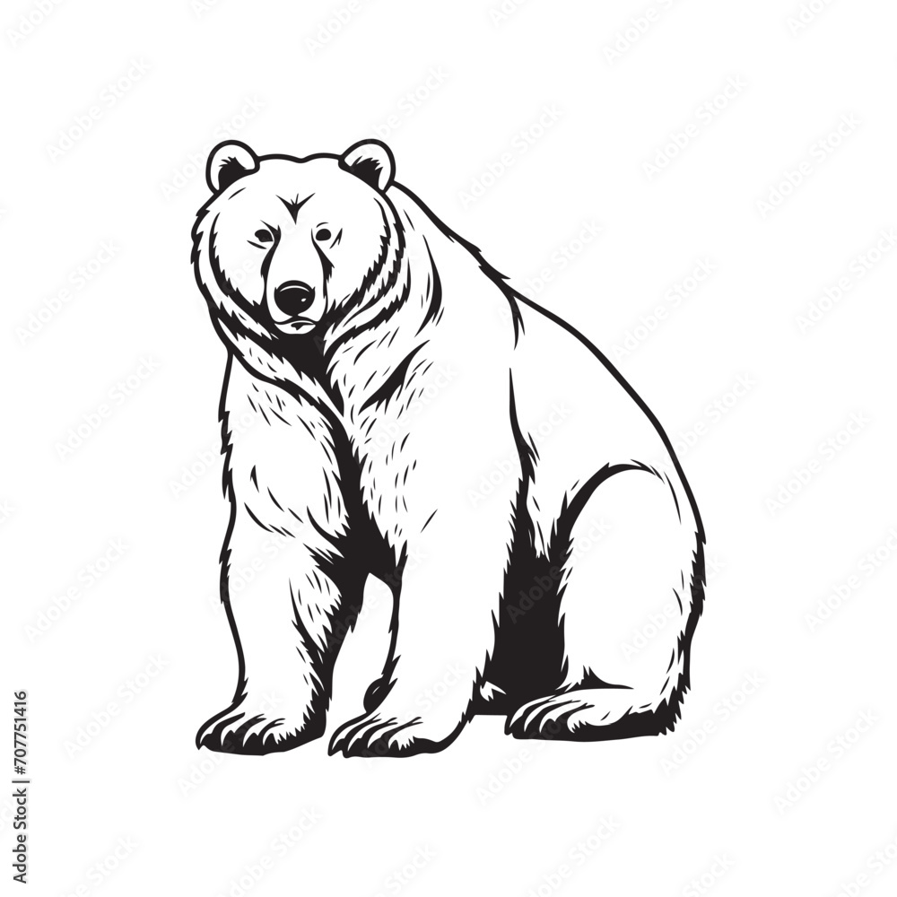 Bear Vector Images Bear Vector Images