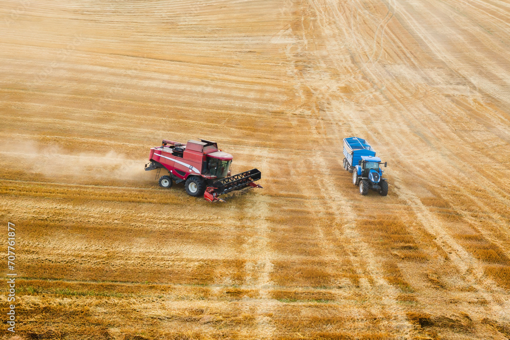 Combine harvesters gather wheat growing in farm field aerial view. Reaping machines operate with cereal crop while tractor stands aside