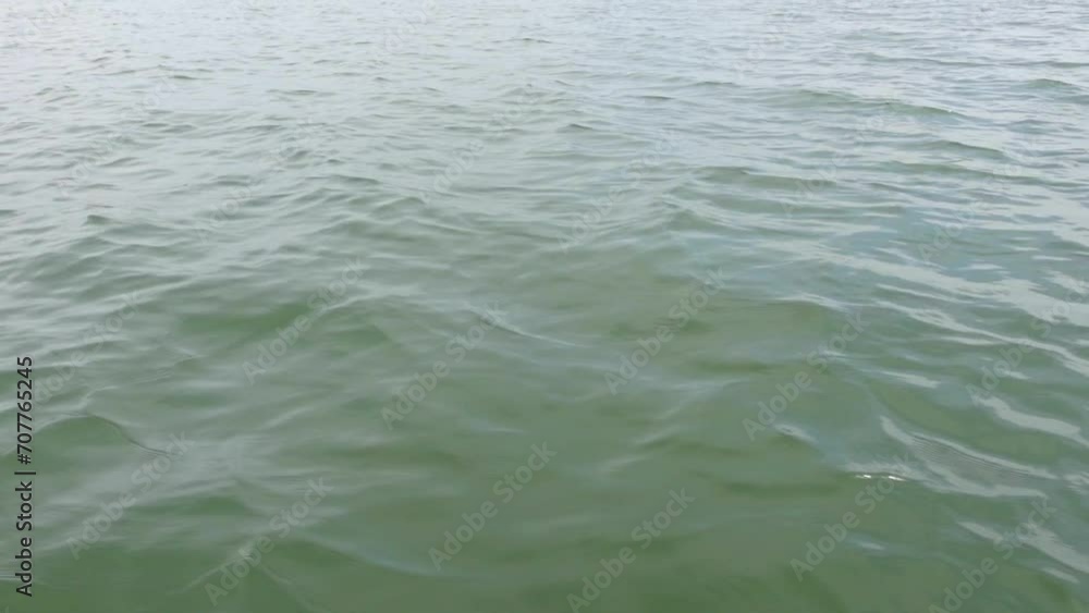 View of the greenish stream of river water from the moving boat. View of the greenish stream of river water from the moving boat.