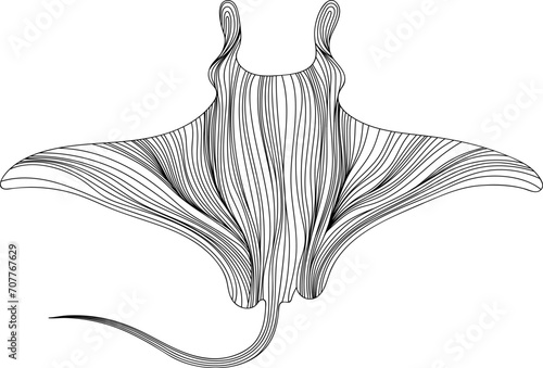 Stingray on a white background. Abstract illustration manta rey for your design.