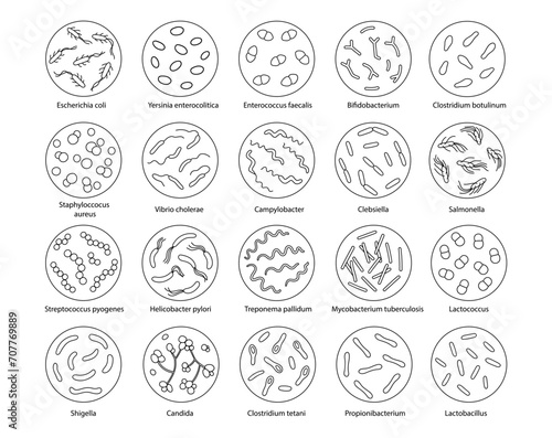 Set of bacteria in a magnifying glass. Vector illustration in doodle style