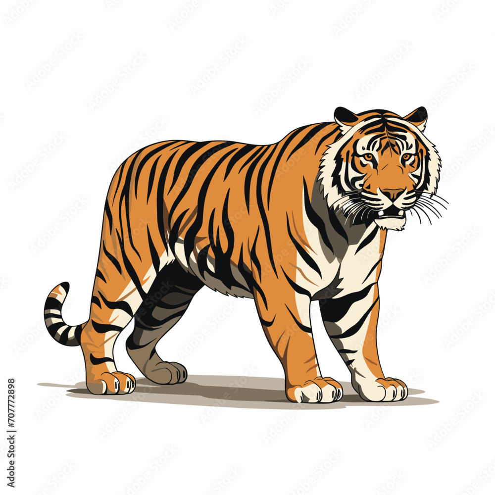 Vector giant tiger. Tiger drawing full body