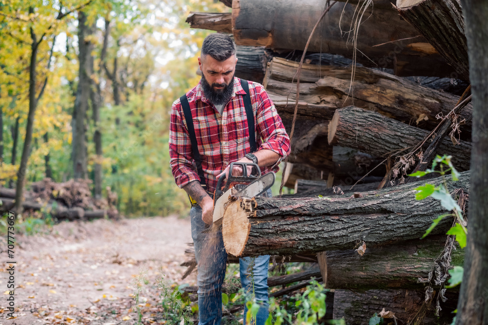 Action shot of the lumberjack in the woods, slicing through logs with a chainsaw, sawdust and smoke filling the air. Action shot of the lumberjack in the woods, slicing through logs with a chainsaw, sawdust and smoke filling the air.