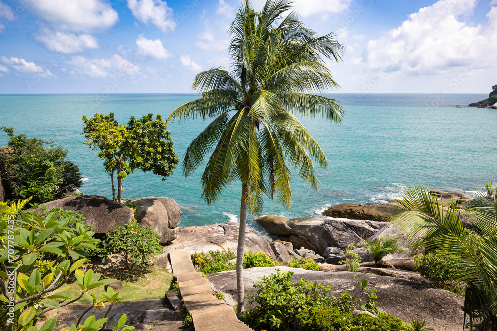 Palm at the shoreline in Koh Samui, Thailand - Crystal Bay.