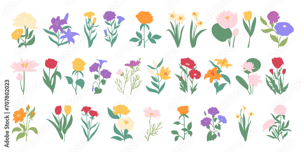 Flower spring. Floral frame drawing, pink, yellow and purple, summer cartoon botanical isolated elements, nature vintage floral set, love beautiful bouquets, grass and leaf. Vector garish illustration