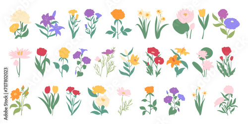 Flower spring. Floral frame drawing  pink  yellow and purple  summer cartoon botanical isolated elements  nature vintage floral set  love beautiful bouquets  grass and leaf. Vector garish illustration