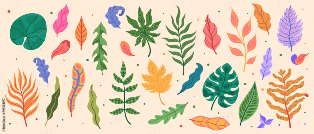 Leaf tropic. Abstract isolated botanical elements, palm and grass, summer geometric, modern tribal design plant, minimal garden, art simple decoration, trunk branch. Vector cartoon flat illustration Leaf tropic. Abstract isolated botanical elements, palm and grass, summer geometric, modern tribal design plant, minimal garden, art simple decoration, trunk branch. Vector cartoon flat illustration