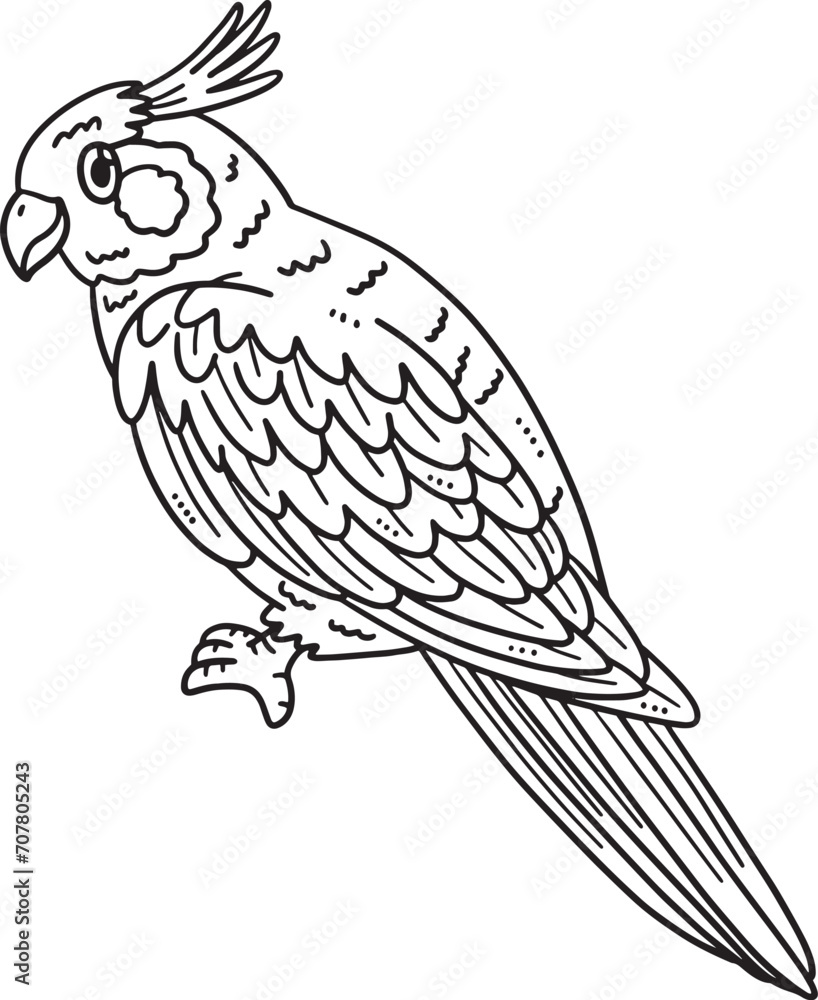 Cockatiel Bird Isolated Coloring Page for Kids