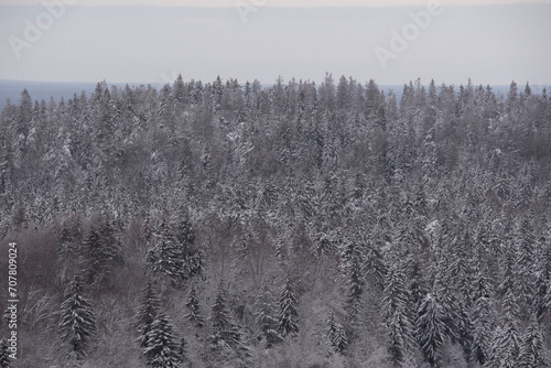 Winter landscape with forest and snow Estonia, Northern-Europe, western taiga forest.