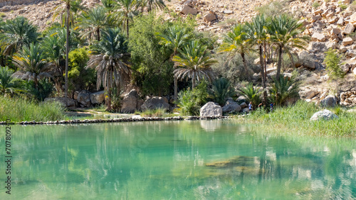 Palm Trees in Wadi Shab of Oman