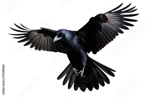 a high quality stock photograph of a single flying spread winged crow isolated on a transparant or white background © ramses