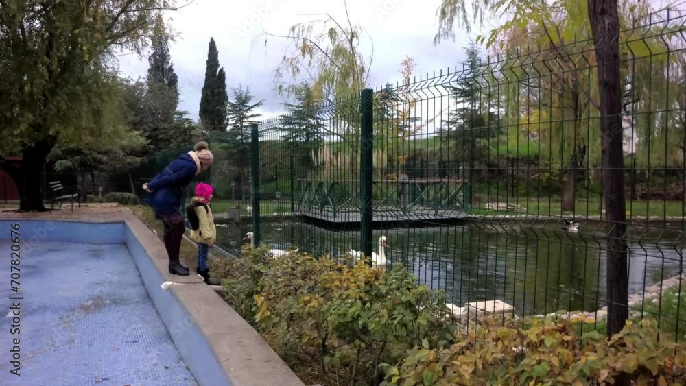 mother and daughter look at the lake with swans, autumn mother and daughter look at the lake with swans, autumn