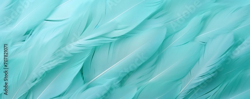 Aquamarine pastel feather abstract background texture 