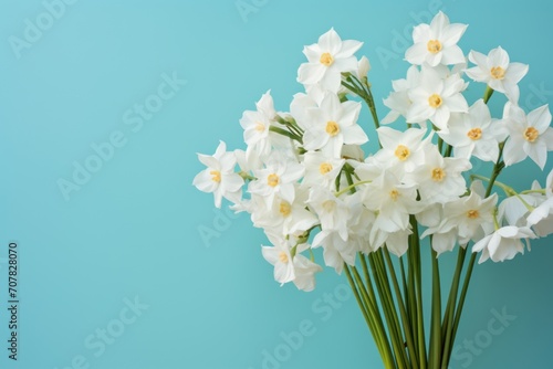 Bouquet of white narcissus on a cyan colored backdrop isolated pastel background  © Lenhard