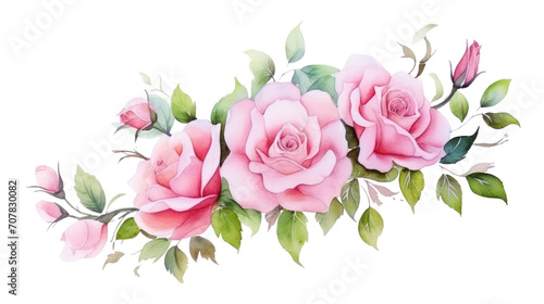 watercolor painting Roses with buds and petals on white background  valentines day concept 