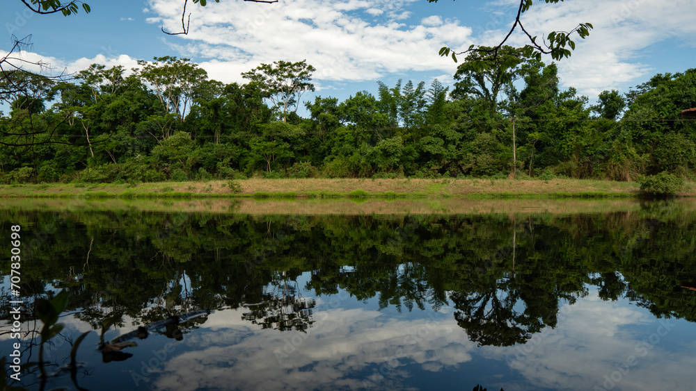 Obraz premium reflection of trees in water,river, dam, nature, trees and river