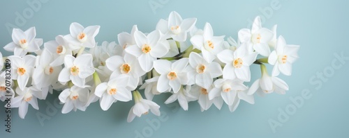 Bouquet of white narcissus on a jet colored backdrop isolated pastel background 