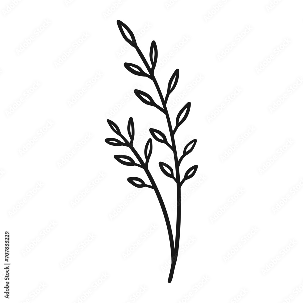 branch of a tree plant Tropical Leafy Branches Leaves branch of a tree plant Tropical Leafy Branches Leaves