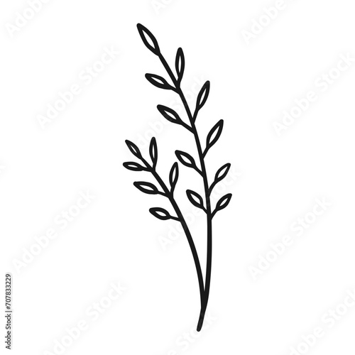 branch of a tree plant Tropical Leafy Branches Leaves