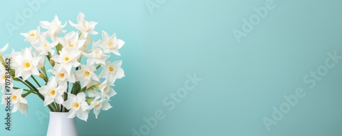 Bouquet of white narcissus on a turquoise colored backdrop isolated pastel background  photo