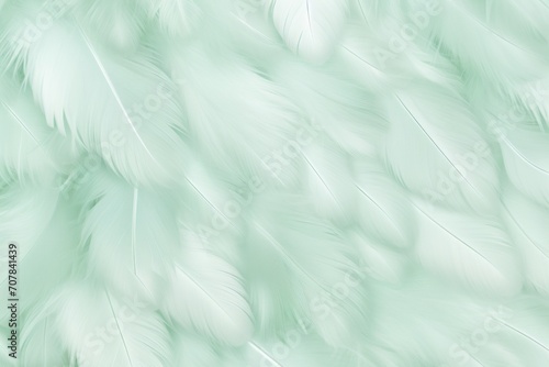 Celadon pastel feather abstract background texture © Lenhard