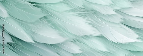 Celadon pastel feather abstract background texture © Lenhard
