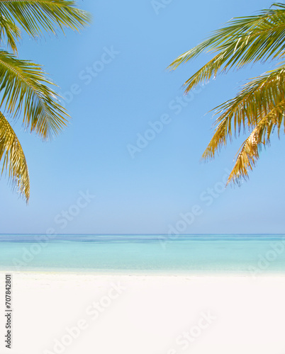 Fototapeta Naklejka Na Ścianę i Meble -  Landscape, sea and beach with tropical palm tree in summer, mockup space or blue sky background by island. Nature, leaves and water in ocean for sustainability, holiday and sunshine in environment