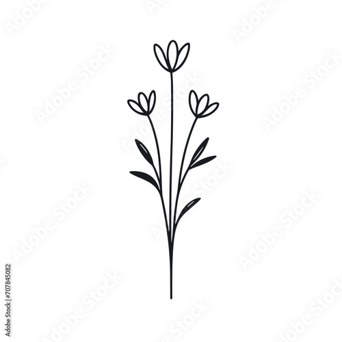 Black and white vector illustration of a flower with three buds and leaves  ideal for elegant designs and decor.