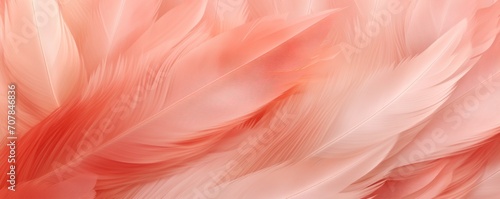 Coral pastel feather abstract background texture 