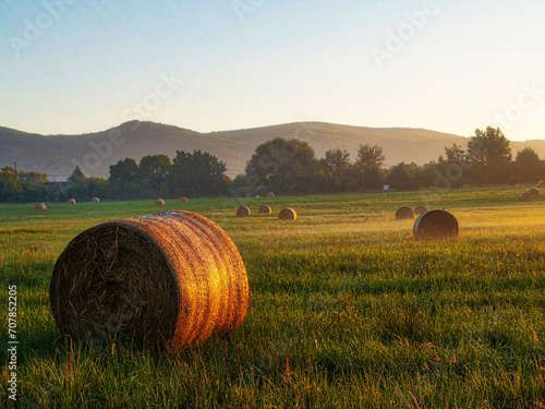 Rural landscape with hay bales in the field at sunset.