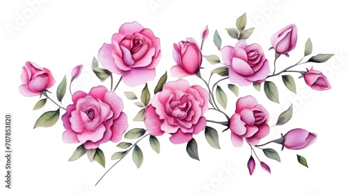 painting Roses with buds and petals on white background, valentines day concept