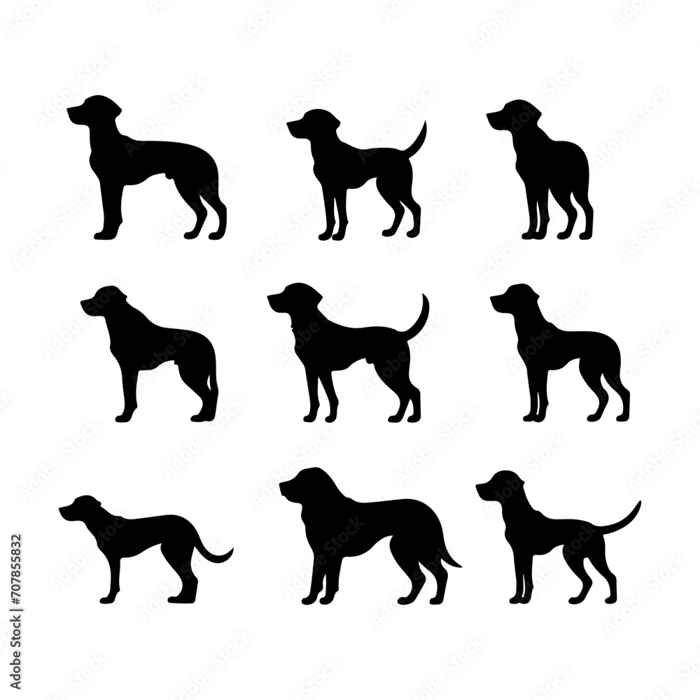 Ruby dog silhouette set. Cute icon of dogs. Dog vector illustration and logo style.
Ruby dog silhouette set. Cute icon of dogs. Dog vector illustration and logo style.